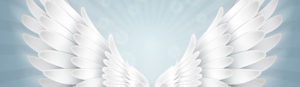 Find your wings. Certified Angel Therapist. Kristy Sands Certified Angel Therapist®, Intuitive, Spiritual Counseling
